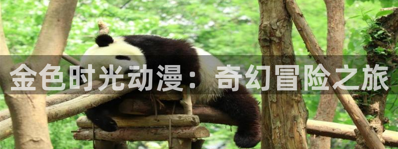 动漫天堂官方正版下载