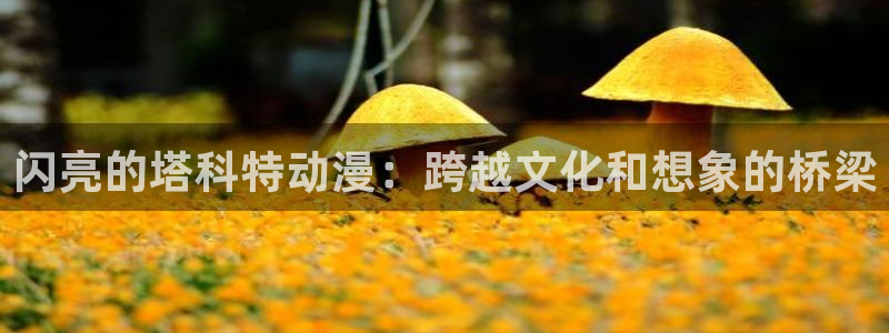 h动漫天堂