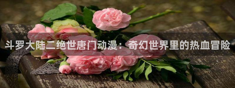 动漫天堂在线看