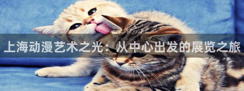 h动漫天堂：上海动漫艺术之光：从中心出发的展览之旅