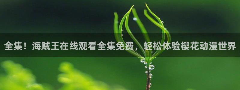 番剧推荐动漫天堂.：全集！海贼王在线观看全集免费，轻松体验樱花动漫世界