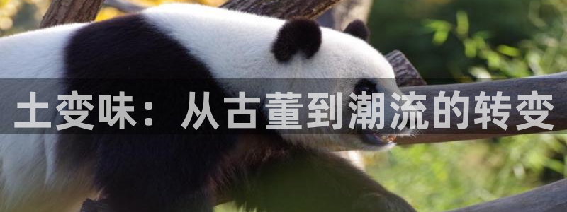 原神禁动漫天堂：土变味：从古董到潮流的转变