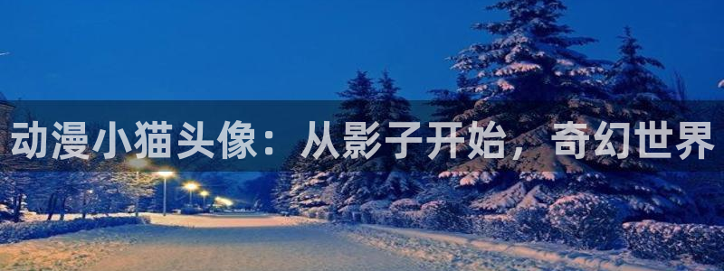 动漫天堂免费下载：动漫小猫头像：从影子开始，奇幻世界