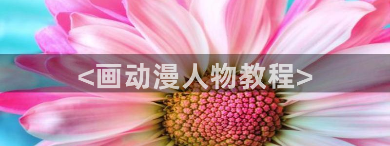 男人动漫天堂在线：<画动漫人物教程>