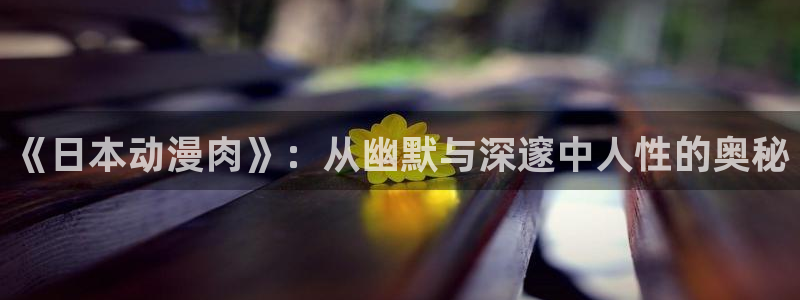 www.动漫天堂：《日本动漫肉》：从幽默与深邃中人性的奥秘