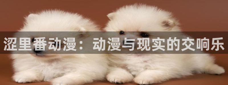 91动漫天堂：涩里番动漫：动漫与现实的交响乐