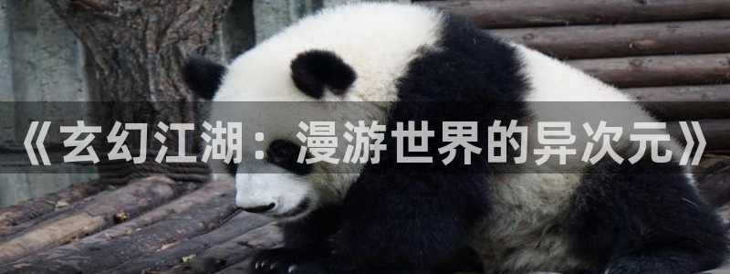 免费a漫动漫天堂.：《玄幻江湖：漫游世界的异次元》