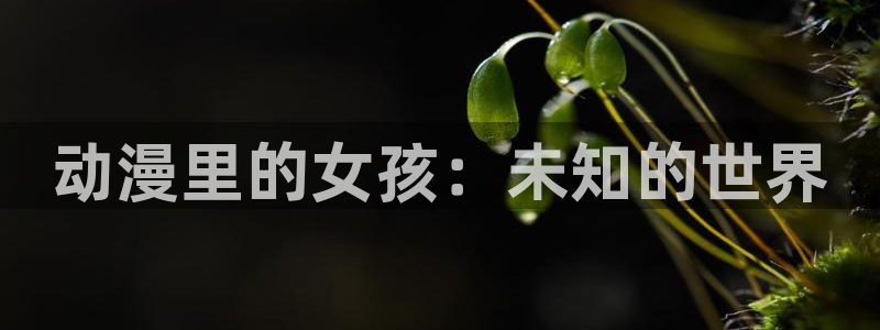 jk动漫天堂：动漫里的女孩：未知的世界