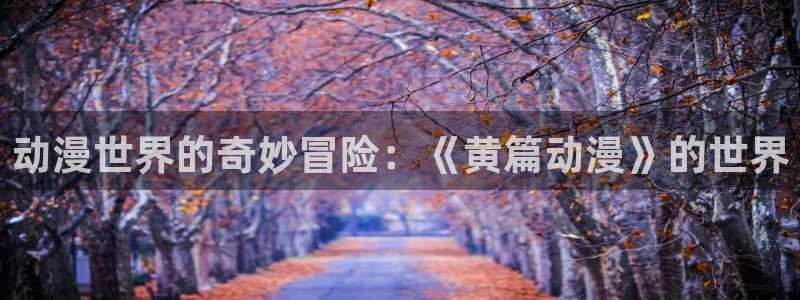 动漫天堂从哪下载安装：动漫世界的奇妙冒险：《黄篇动漫》的世界