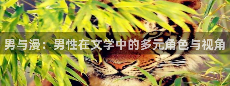动漫天堂网站：男与漫：男性在文学中的多元角色与视角