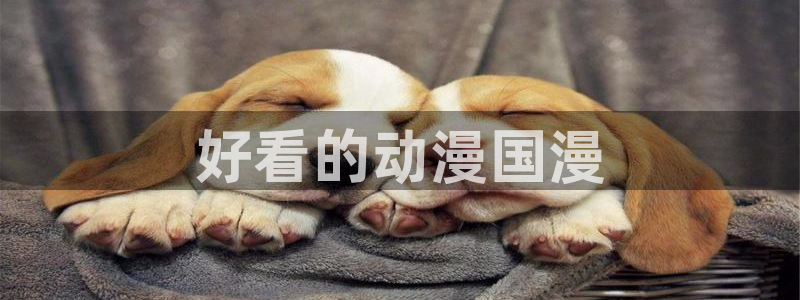 动漫天堂在线看