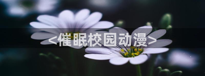 动漫天堂在线观看