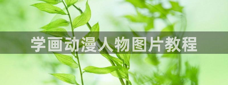 动漫天堂软件