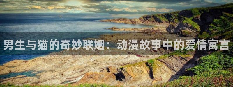 动漫天堂免费