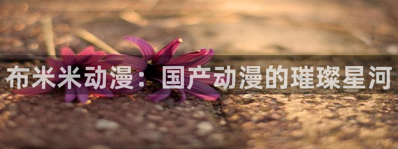 动漫天堂网站