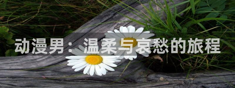黄动漫天堂