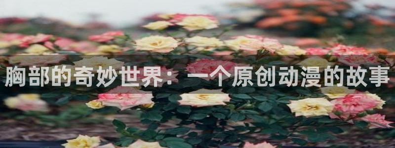 动漫天堂免费下载