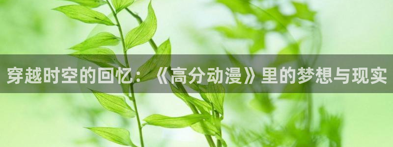 av动漫天堂网