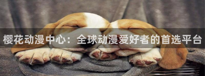 动漫天堂软件