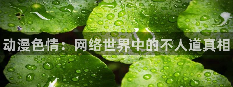 动漫天堂电影