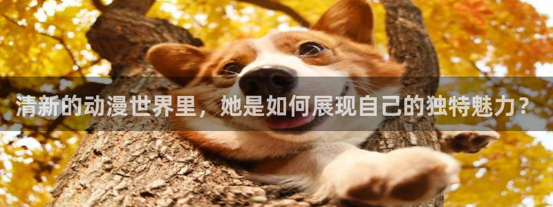 男人动漫天堂在线