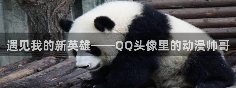 动漫天堂在线看