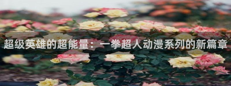 18动漫天堂