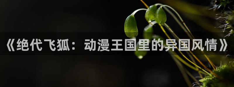 动漫天堂在线观看