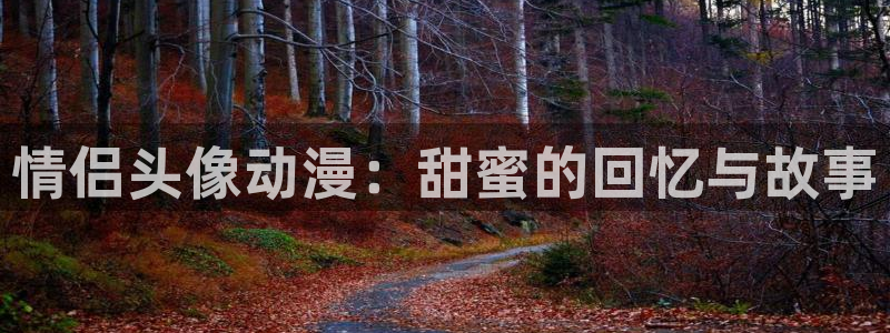 cos动漫天堂官网下载