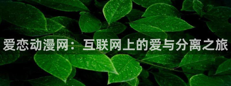 acg动漫天堂：爱恋动漫网：互联网上的爱与分离之旅