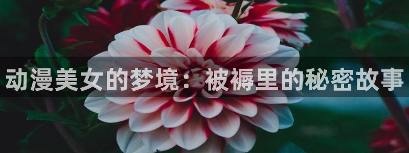 3d动漫天堂：动漫美女的梦境：被褥里的秘密故事