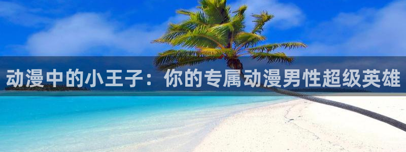 动漫天堂岛：动漫中的小王子：你的专属动漫男性超级英雄