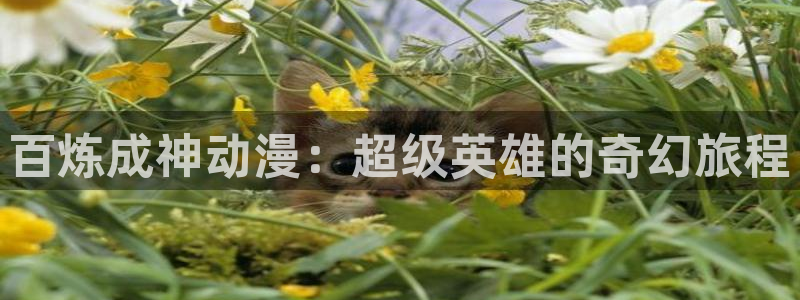 禁动漫天堂：百炼成神动漫：超级英雄的奇幻旅程