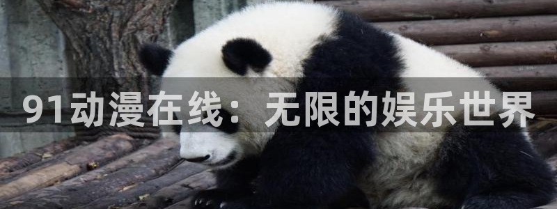 动漫天堂下载官方：91动漫在线：无限的娱乐世界